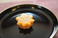 初紅葉 2013/09/29 16:06:58