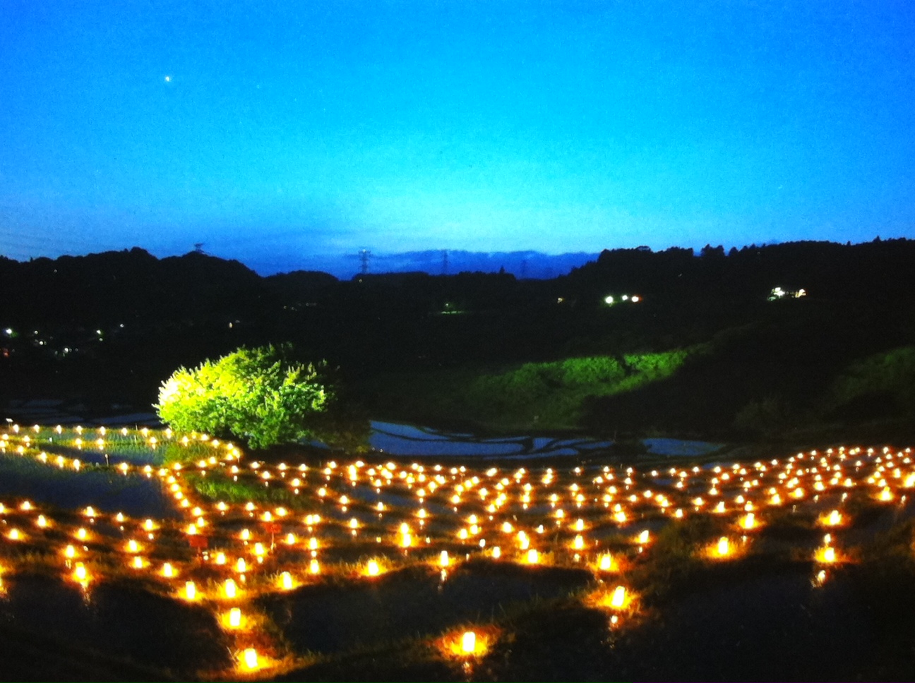 棚田であぜ道アート　2011　６月４日（土）開催