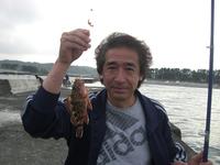マジ!　カサゴが!  　静波海岸 2009/05/25 14:01:23