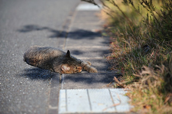 宝くじ