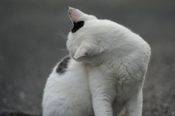 時間を守らない人
