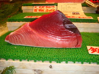 いいマグロが入りました♪