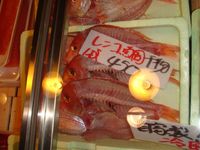 渡信商店自慢！｢絶品干物｣