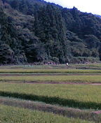 田舎 2008/08/11 20:53:41