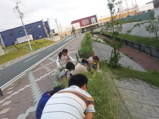 ららぽーと前 花壇の草取り～★