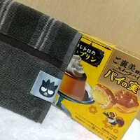 【ばつ丸ミニタオル】どっちもナウいです！【限定パイの実】 2024/06/09 01:04:47