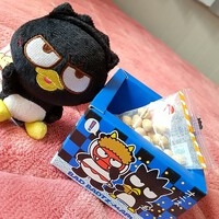 ばつ丸 × 節分です 2025/02/01 21:45:01