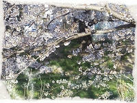 sakura☆ 2012/04/07 17:10:32