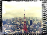 Tokyo Tower☆ 2012/05/09 06:19:35