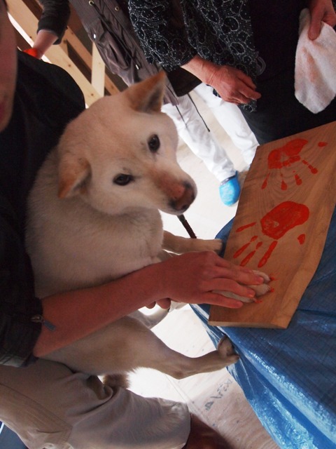 上棟だワン!