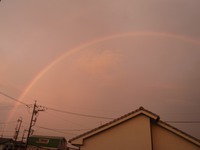 自然からの贈り物 2014/09/08 18:45:26