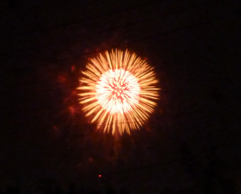 今年も、佐鳴湖花火を　西都台から楽しみました