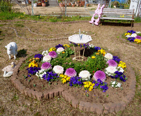 ゆめ花壇に  春が来ました
