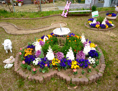 花満開の　ゆめ花壇をご覧ください。