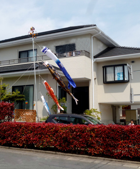 もうすぐ ５月です