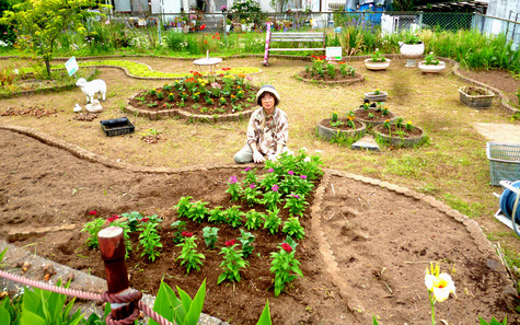 ゆめ花壇の 花植え