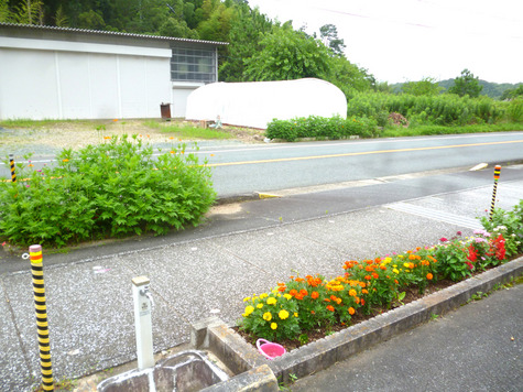 夏花壇が、出来上がりました