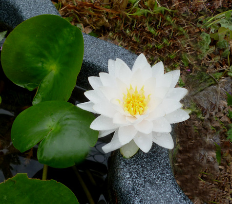 秋も 進んでいます。