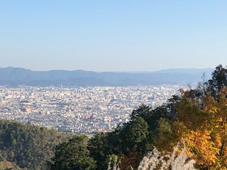 名残の紅葉