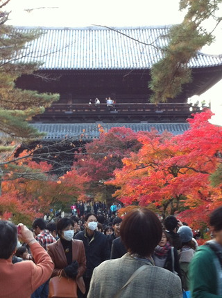 京都紅葉旅行