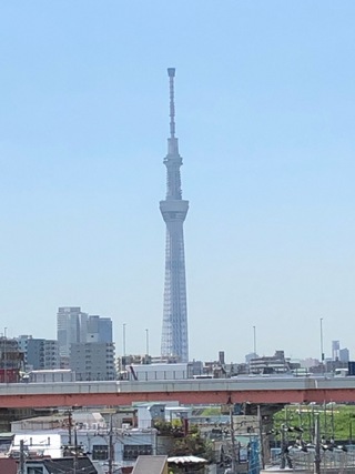 まさしく東奔西走？！