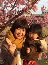 磐田の河津桜