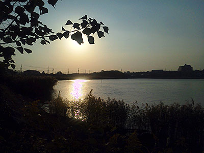 佐鳴湖の夕暮れ