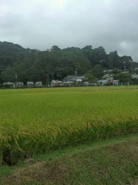 お祭り 2013/09/16 00:50:25