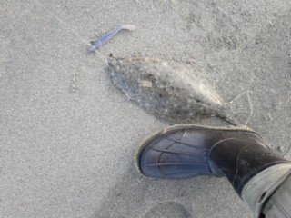 久々長時間釣行