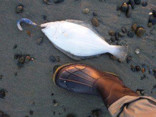 初釣り