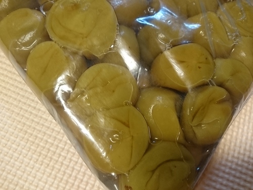 梅干し作り（塩漬け中）