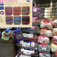 シェルシェール  入荷しました 2018/08/26 18:55:02