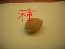 夢は叶う！