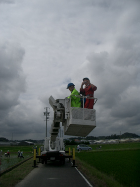 田んぼアート菊川