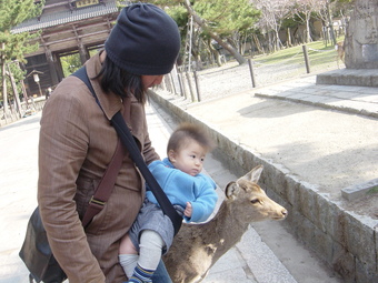 最近の山下大徳くん