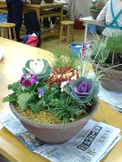 お正月の寄せ植え