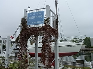 単独世界一周