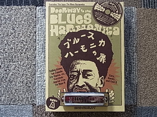 ハーモニカ購入！