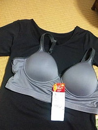 温かグッツ　＆　街中ランチ情報