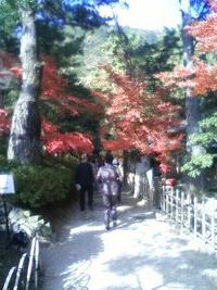 栗林公園を見学 2010/11/27 11:02:50