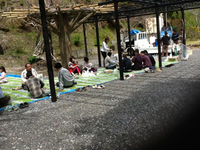 お花見？？ 2012/04/15 12:37:35