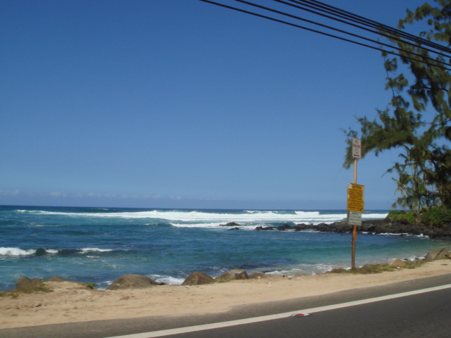 NORTH　SHORE！