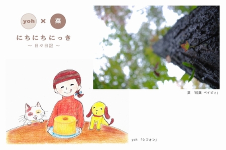明日、搬入です♪