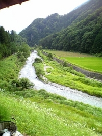 お題☆風薫る