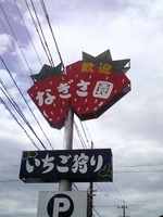 いちご狩り♪