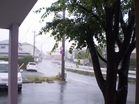台風がきますた