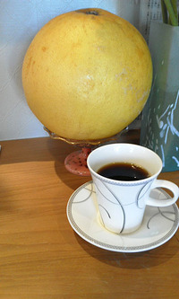 柑橘類の大きなヤツ