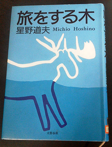 旅をする木