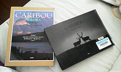 カリブー