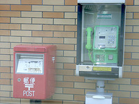 絶滅危惧種なんだと思う 2012/07/30 20:40:00